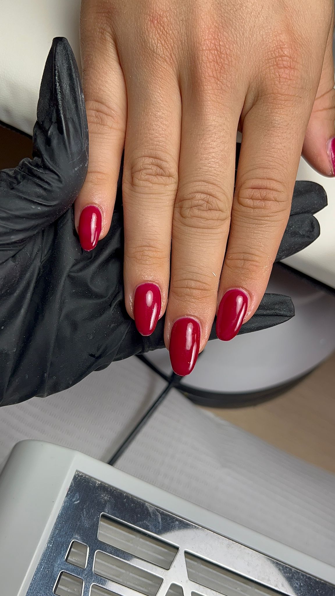 WhatsApp Image 2025-10-27 à 09.19.32_ab8381fb